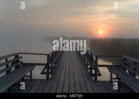 Federsee im Morgen, Sonnenaufgang, Naturschutzgebiet, obere Schwaben, Deutschland Stockfoto