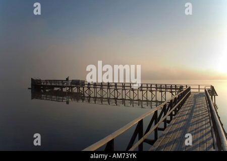 See Federsee im Morgenlicht, Oberschwaben, Baden-Württemberg, Deutschland Stockfoto