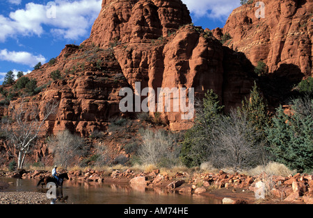 Arizona Cowboy auf dem Rücken der Pferde ist einen Strom im Land der roten Felsen Sedona überqueren. Stockfoto