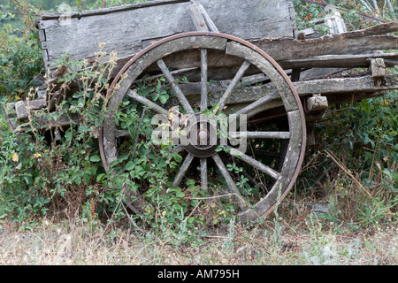 Eine abklingende alten Holzkarren mit Vegetation wächst über sie rot im spanischen Hof überlassen. Stockfoto