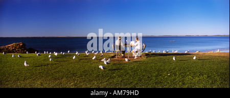 Picknick mit ungebetenen Gästen, Robe, Limestone Coast, SE South Australia, horizontal, Stockfoto