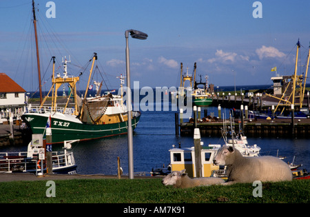 Niederlande Texel Oudeschild Port Hafen Deich Meer Wattenmeer (Wattenmeer) Stockfoto