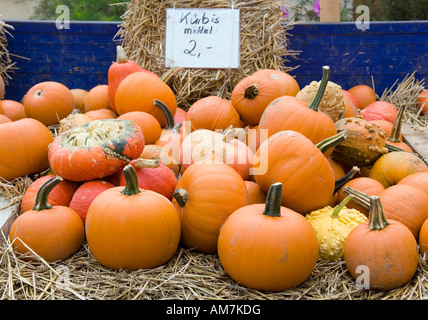 Kürbisse werden zum Verkauf angeboten Stockfoto