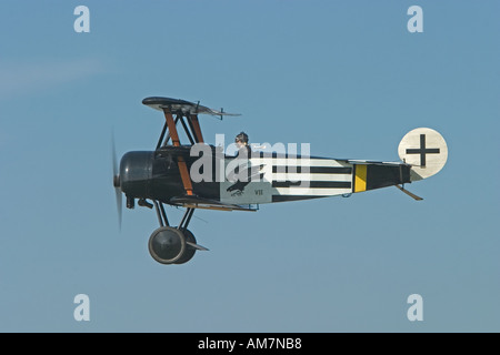 Fokker DR 1 Dreidecker Replik im Flug Stockfoto