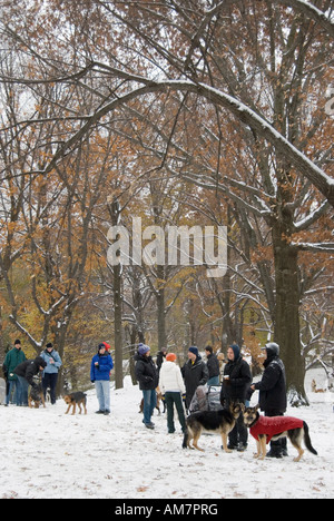 Hundebesitzer mit ihren Hunden in Central Park New York versammelt sich hinter ein Schneegestöber Stockfoto