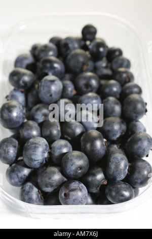 Frische Heidelbeeren in Plastikschüssel Stockfoto