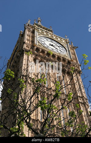 Big Ben in London UK Stockfoto