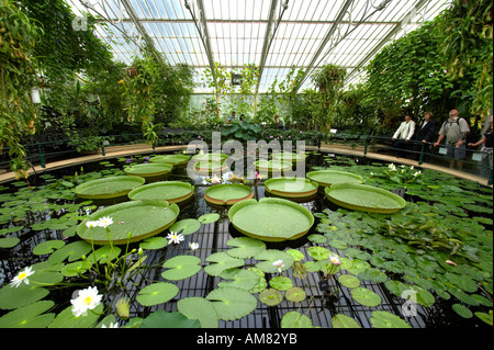 Waterlily House in Kew Gardens in London Stockfoto