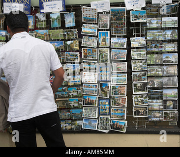 Mann auf der Suche durch Postkarten auf dem Display Cambridge England Stockfoto