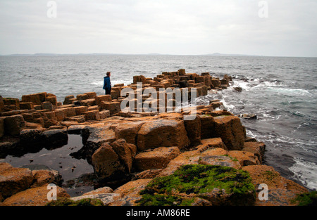 Fels-Formationen, Fingal's Cave, Staffa, Treshnish Inseln in der Nähe von Mull, Westküste von Schottland, Vereinigtes Königreich Stockfoto