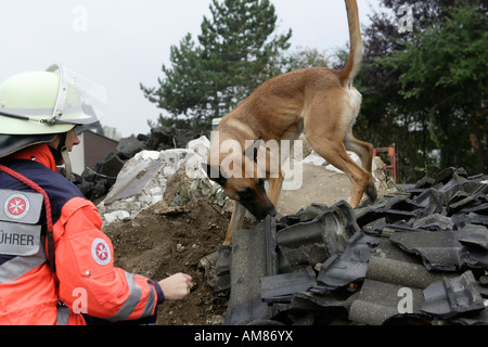 Suche und Rettung Hund auf ein Trümmerhaufen, Diepeschrather Weg, Bergisch Gladbach, Nordrhein-Westfalen, Deutschland Stockfoto