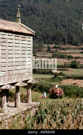 Ein Stein gebaute Horreo galizischen Traditionshaus für Mais (Corn) auf dem Lande in der Nähe von Laxe in Galicien Nordspanien West Stockfoto