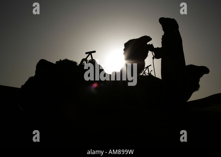 Silhouetten von zwei Dromedare ein Berber im Gegenlicht, Erg Chebbi, Marokko Stockfoto