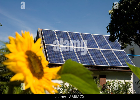 Solar Zellen komplett Verkleidung kleines Dach, Sonnenblumen blühen Stockfoto