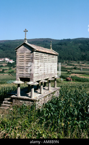 Ein Stein gebaute Horreo galizischen Traditionshaus für Mais (Corn) auf dem Lande in der Nähe von Laxe in Galicien Nordspanien West Stockfoto