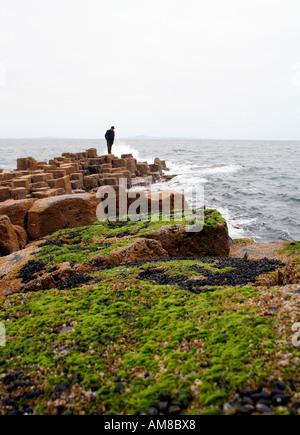 Fels-Formationen, Fingal's Cave, Staffa, Treshnish Inseln in der Nähe von Mull, Westküste von Schottland, Vereinigtes Königreich Stockfoto