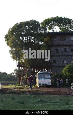 Kenia Aberdare Nationalpark Kenia Treetops lodge Stockfoto