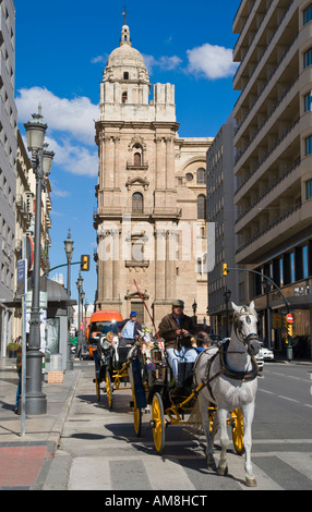 Malaga Costa del Sol Spanien Pferd und Kutsche fahren mit Kathedrale hinter Stockfoto