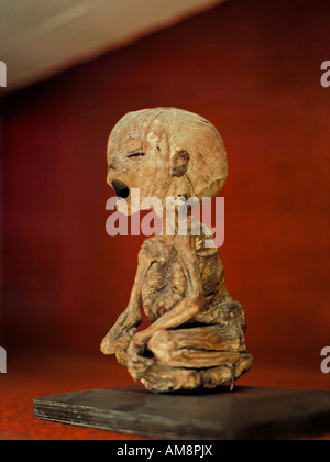 Eine mumifizierte Baby ist im Museum von Mumien in Mexiko präsentiert. Stockfoto