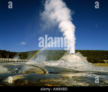 USA - WYOMING: Castle Geysir im Yellowstone National Park Stockfoto