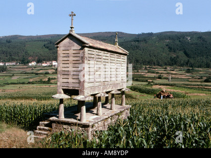 Ein Stein gebaute Horreo galizischen Traditionshaus für Mais (Corn) auf dem Lande in der Nähe von Laxe in Galicien Nordspanien West Stockfoto