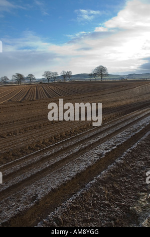 Acker an einem frostigen Morgen, in der Nähe von Cupar, North-East Fife Stockfoto