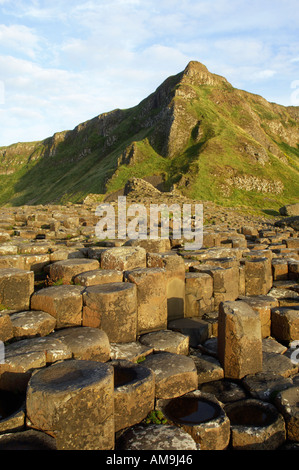Die Giants Causeway Basalt Felsformationen bekannt als der Grand Causeway auf der Küste von North Antrim in Bushmills, Nordirland Stockfoto