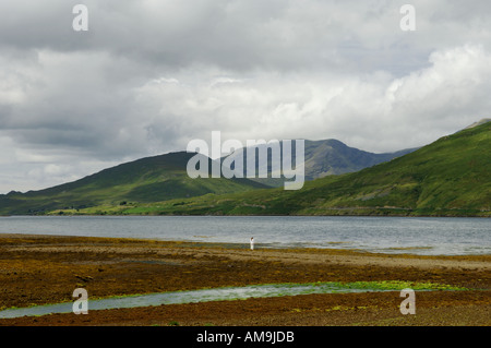 Frau am Ufer der Killary Harbour aus dem Dorf Leenaun in County Galway zu Mweelrea Mountains in County Mayo, Irland Stockfoto