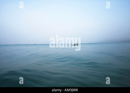 Mann auf Surfbrett im Wasser liegen. Stockfoto