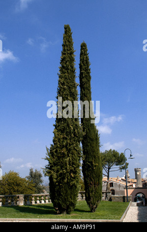 Die Gärten der Villa Lante in das Dorf Bagnaia in der Nähe von Viterbo Italien Stockfoto