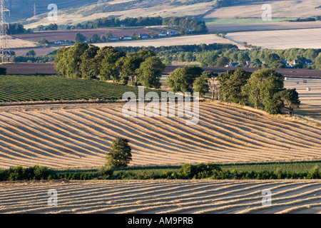 Landwirtschaftliche Nutzfläche in Cooper Angus Blairgowrie; Landschaft mit Markierungen und Furchen nach dem Pflügen und der Ernte in Schottland, Großbritannien Stockfoto