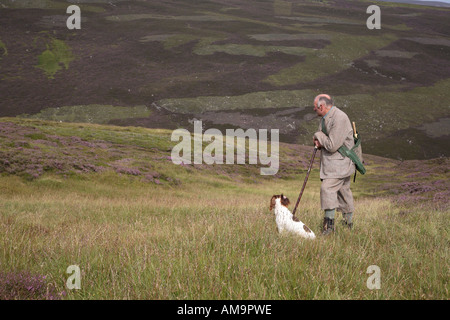 Wildhüter auf schottischem Heidekraut in Braemar, Cairngorms National Park, Royal Deeside, Schottland. VEREINIGTES KÖNIGREICH. Keeper mit Spaniel Retriever Wildhund. Stockfoto