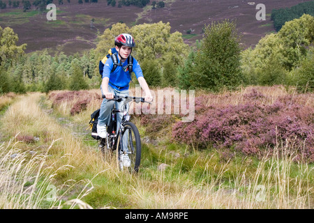 Teenager-Radler, der mit dem Mountainbike durch das lila Heidekraut auf einem Radweg auf dem Land im Cairngorms National Park, Schottland, Großbritannien, fährt Stockfoto