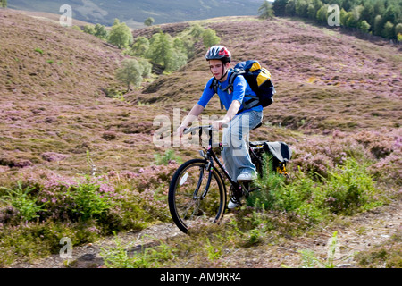 Teenager-Radler, der mit dem Mountainbike durch das lila Heidekraut auf einem Radweg auf dem Land im Cairngorms National Park, Schottland, Großbritannien, fährt Stockfoto