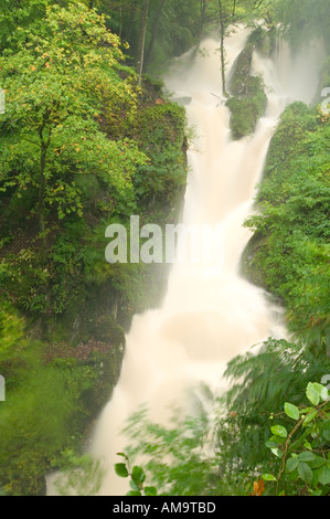 Stock Ghyll Ambleside Hochwasser Seenplatte Stockfoto