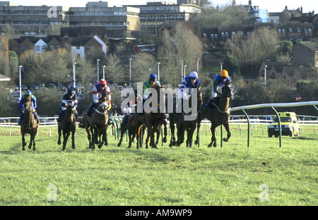 Pferderennen in Warwick Rennen, Warwickshire, England, UK Stockfoto