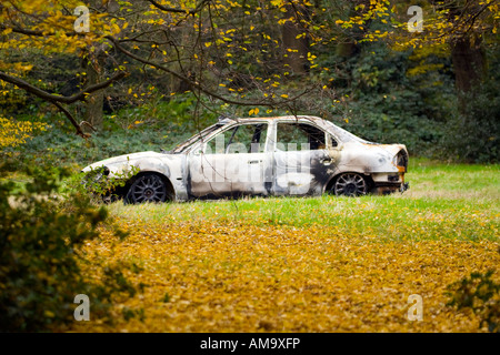 Verlassene ausgebrannte Auto im Wald Stockfoto