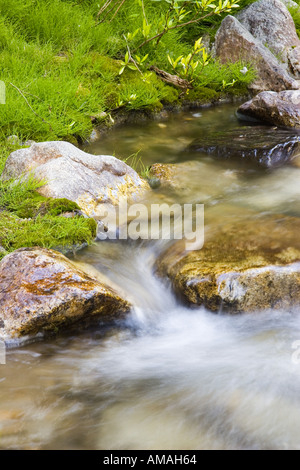 Ein schnell bewegten Gebirgsbach stürzt letzten Felsen und Gräser Stockfoto
