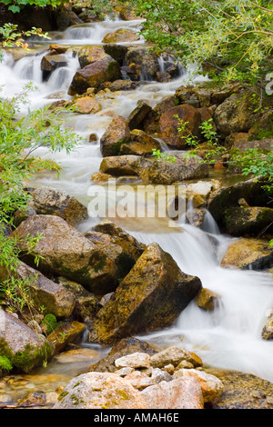 Ein schnell bewegten Gebirgsbach rauscht vorbei an Felsen Stockfoto