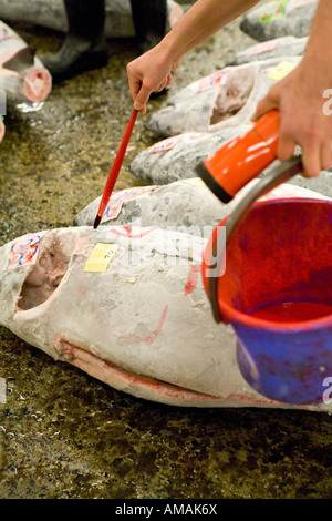Detail einer Person Verschneidung Thunfisch auf einem Fischmarkt Stockfoto