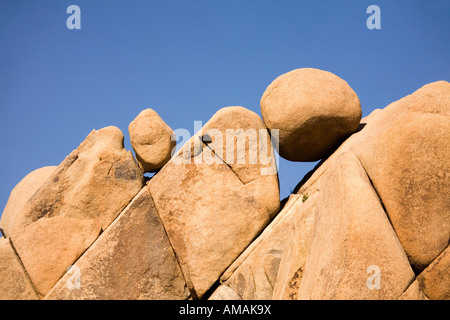 Detail der Granitfelsen, Joshua Tree Nationalpark, Kalifornien, USA Stockfoto