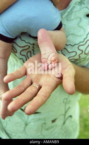 Baby-Fuß ruht auf Erwachsene hand Stockfoto
