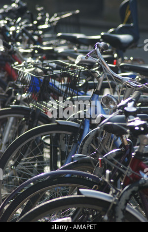 Geparkte Fahrräder in einer Reihe in York Stadtzentrum Stockfoto
