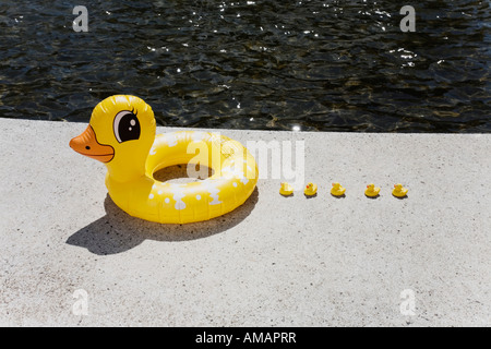 Eine Familie von aufblasbaren Enten Stockfoto