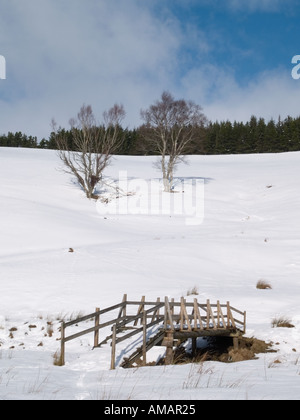 HOLZSTEG über conglas Wasser in Grampian Mountains Moray Schottland, Vereinigtes Königreich Stockfoto