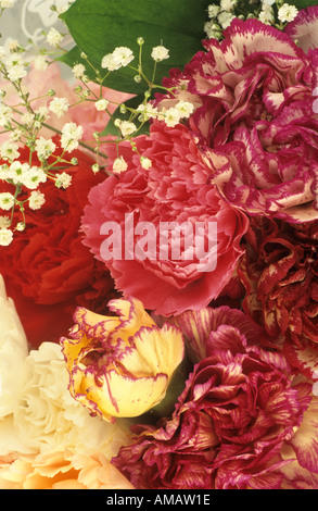 Blumen-arrangement Stockfoto