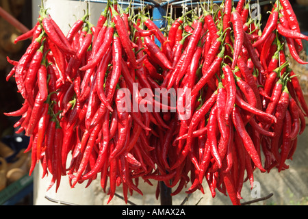 rote Chilischoten auf Verkauf in der Stadt Vilafranca de Bonany Mallorca Spanien Balearen Stockfoto