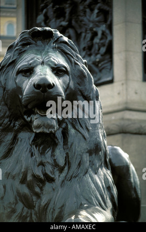 Statue eines Löwen am Trafalgar Square London Stockfoto
