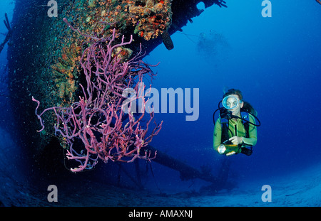 Taucher auf der Hilma Hooker Schiff Wrack Niederländische Antillen Bonaire Karibik Stockfoto