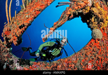 Taucher auf der Hilma Hooker Schiff Wrack Niederländische Antillen Bonaire Karibik Stockfoto